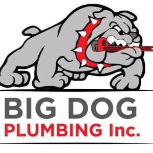 Big Dog Plumbing Inc