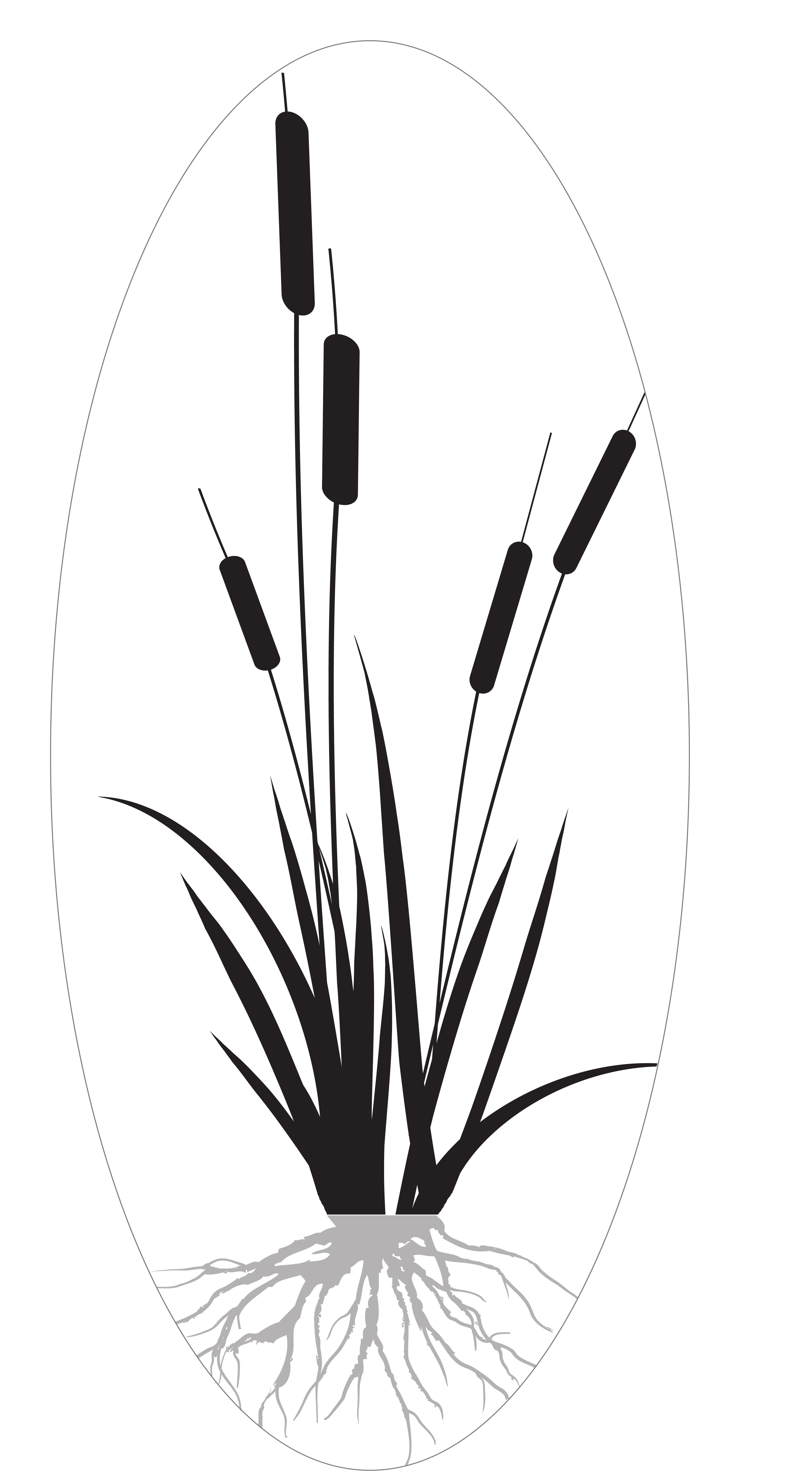 Salt Pond Leadership Partners