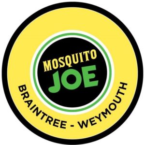 Mosquito Joe