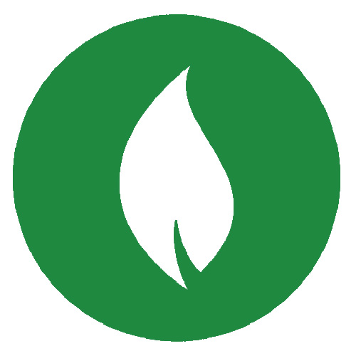 South Shore Green